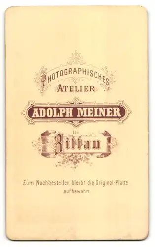 Fotografie Adolph Meiner, Zittau, Portrait junger Mann mit Seitenscheitel im Anzug