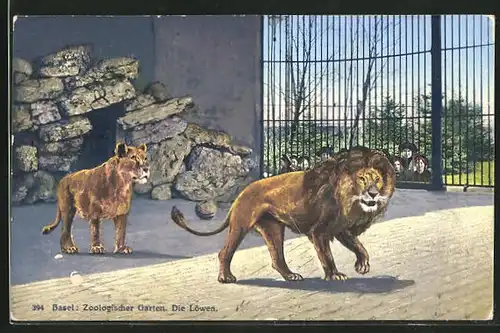 AK Basel, Zoologischer Garten, Löwen im Käfig