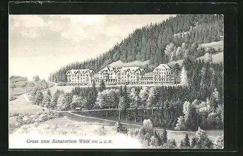 AK Wald, Blick zum Sanatorium