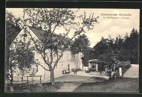 AK Wolkenstein, Gasthaus Waldmühle