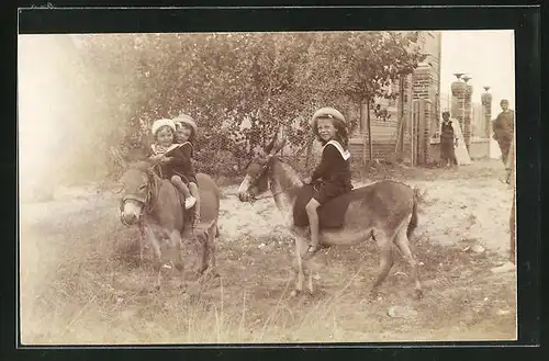 Foto-AK Kinder reiten auf Eseln