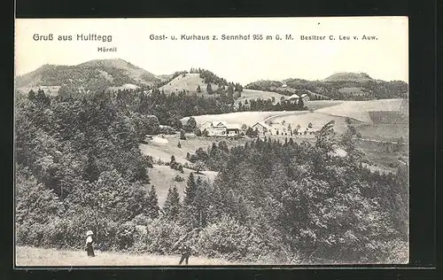 AK Hulftegg, Landschaftspanorama mit Gast- und Kurhaus z. Sennhof