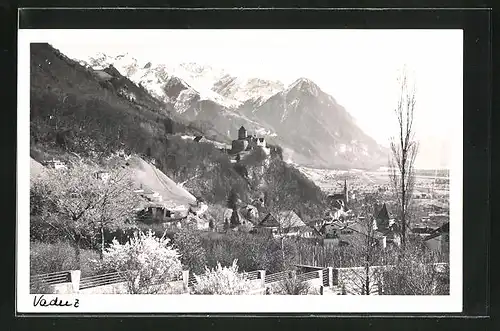 AK Vaduz, Ortsansicht mit Schloss, Alpen und Frühlingslandschaft