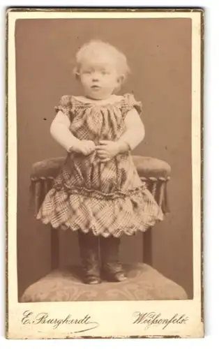 Fotografie E. Burghardt, Weissenfels, kleines Mädchen in kariertem Kleid