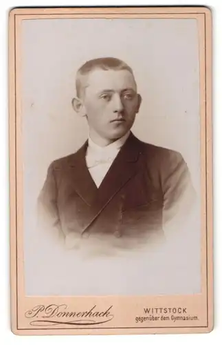Fotografie P. Donnerhack, Wittstock, Portrait charmanter junger Herr mit Fliege im Anzug
