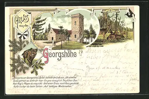 Lithographie Thale, Gasthaus Forsthaus Georgshöhe, Hirsche, Wildschwein