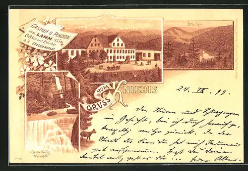 Lithographie Kniebis, Gasthof u. Pension zum Lamm, Ellbachsee, Sankenbacher Wasserfälle