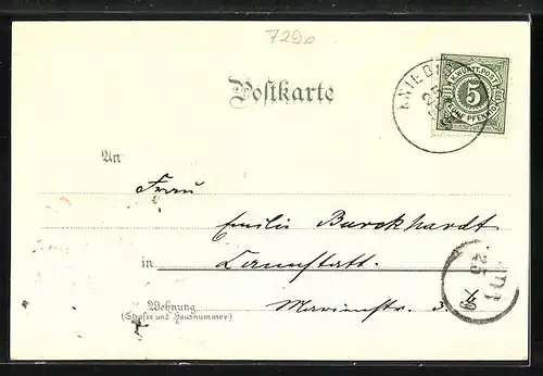 Lithographie Kniebis, Gasthof u. Pension zum Lamm, Ellbachsee, Sankenbacher Wasserfälle