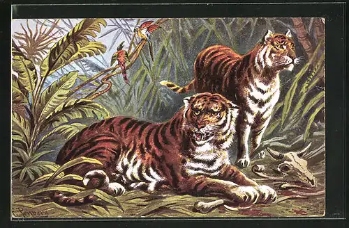 Künstler-AK Friedrich Perlberg: zwei Tiger mit Knochen vor den Pranken, Vögel auf Ast