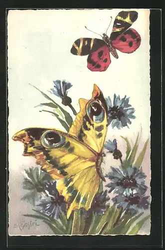 Künstler-AK Carlo Chiostri: Schmetterlinge auf Kornblumen