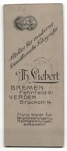 Fotografie Th. Liebert, Bremen, junger Mann mit Krawatte und in Zweireiher