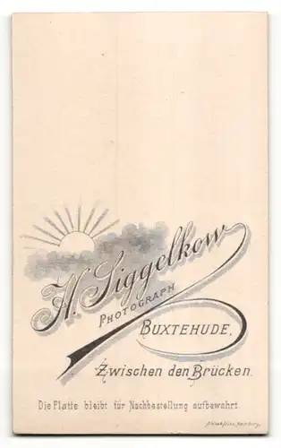 Fotografie H. Siggelkow, Buxtehude, Portrait bürgerlicher Herr mit Zwirbelbart u. Fliege im Anzug