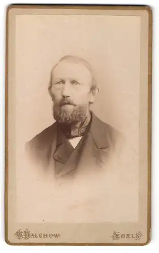 Fotografie W. Dalchow, Egeln, Portrait Mann mit Bart in Anzug
