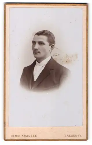 Fotografie Herm. Krausse, Treuen i / Voigtl., Portrait charmanter Herr mit Oberlippenbart u. Krawatte im Anzug