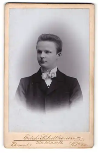Fotografie Erich Scheithauer, Chemnitz, Zwickau i / S., Wilkau, Portrait junger Herr mit Fliege im Anzug