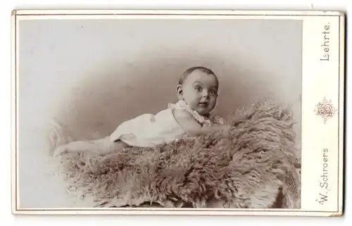 Fotografie W. Schroers, Lehrte, Portrait Säugling auf Fell liegend