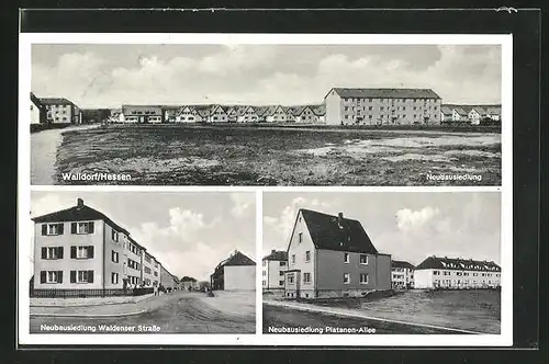 AK Walldorf / Hessen, Neubausiedlung, Neubausiedlung Waldenser Strasse, Neubausiedlung Platanen-Allee