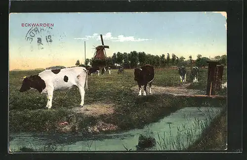 AK Eckwarden, Ansicht mit Kuhherde und Mühle