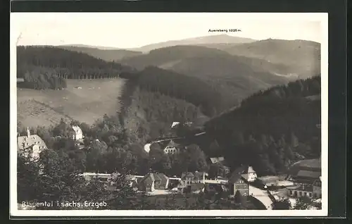 AK Blauental / Erzgeb., Ortspartie im Gebirge