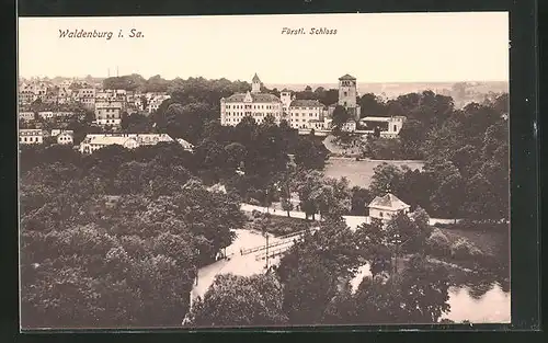 AK Waldenburg i. Sa., Panorama mit fürstl. Schloss