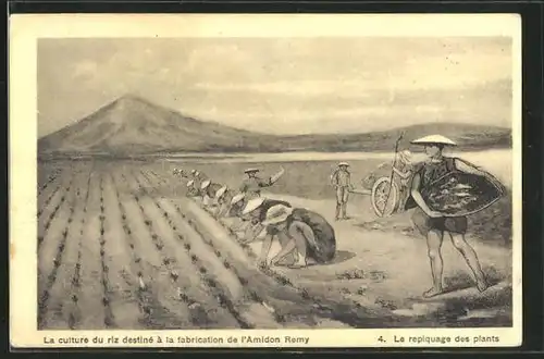 AK Asiatische Männer bei der Arbeit auf den Reisfeldern