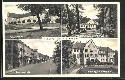 AK Walsrode / Lüneburger Heide, Aufbauschule, Quientusstrasse, Waldwirtschaft Eckernworth