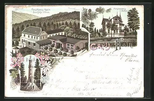 Lithographie Hain, Hotel-Pension Hütter, Forsthaus Hain, Hochwaldthurm