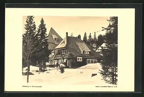 AK Feldberg i. Schwarzw., Hotel & Pension Hebelhof