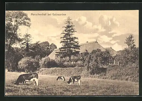 AK Golzwarden, Marschenhof mit Kühen