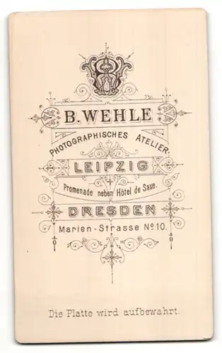 Fotografie B. Wehle, Dresden, Leipzig, Portrait lächelnde Dame mit Hochsteckfrisur in modischer Kleidung