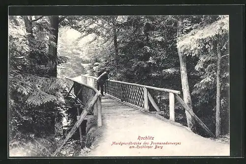 AK Rochlitz, Mordgrundbrücke des Promenadenweges am Rochlitzer Berg