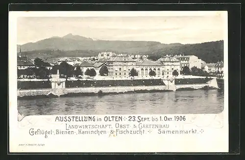 AK Olten, Ausstellung 1906, Landwirtschaft, Obst- & Gartenbau