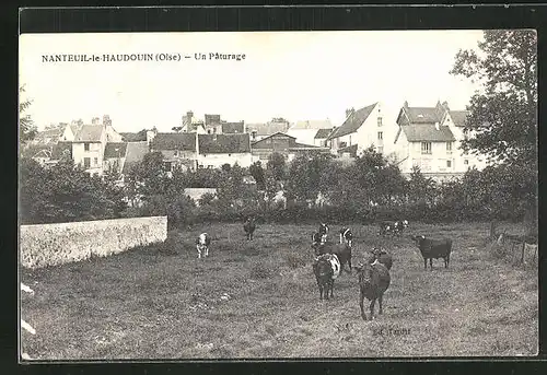 AK Nateuil-le-Haudouin, Un Paturage