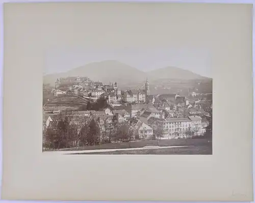 Fotografie Fotograf unbekannt, Ansicht Feldkirch / Vorarlberg, Panorama der Stadt mit Schloss, Grossformat 25 x 16cm