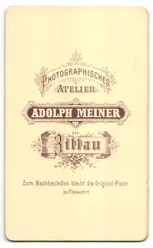 Fotografie A. Meiner, Zittau, Portrait bürgerlicher Herr mit Schnauzbart u. Fliege im Anzug