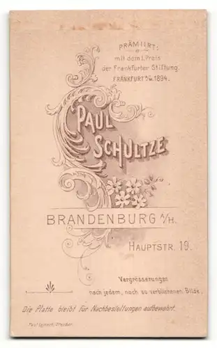 Fotografie Paul Schultze, Brandenburg a. H., Portrait junger Herr im Anzug mit Krawatte