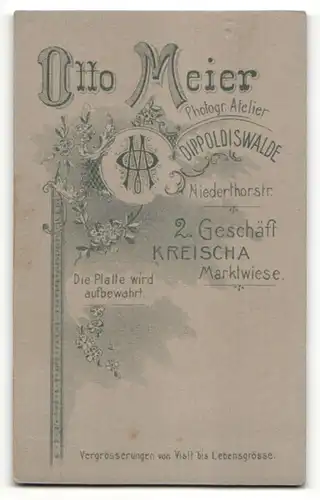 Fotografie Otto Meier, Dippoldiswalde, Kreischa, Portrait junge Dame mit zurückgebundenem Haar in eleganter Kleidung