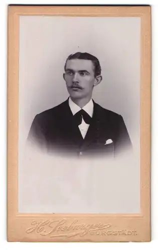 Fotografie H. Seeburger, Burgstädt, Portrait junger Herr mit Mittelscheitel in Anzug