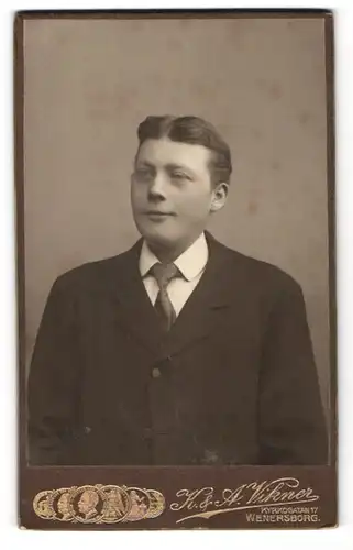 Fotografie K. & A. Vikner, Wenersborg, Portrait junger Herr mit Mittelscheitel in Anzug