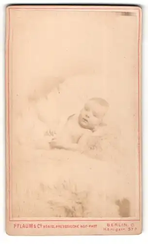Fotografie Pflaum & Co., Berlin C., Portrait niedliches Baby auf Fell liegend