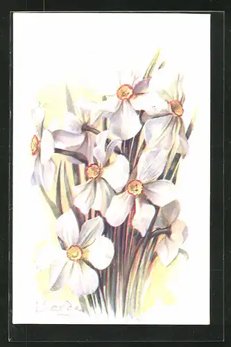 AK Narcisse de Poétes