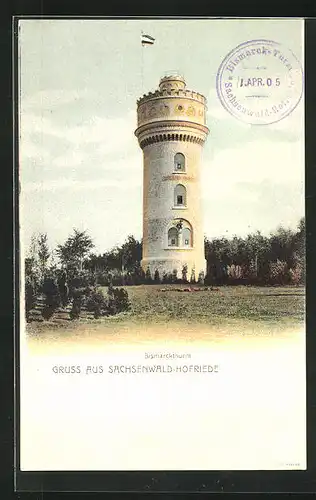 AK Sachsenwald-Hofriede, Blick zum Bismarckturm