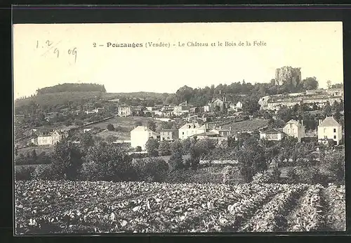 AK Pouzauges, Le Château et le Bois de la Folie, Panorama