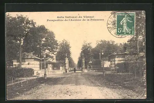 AK Vesinet, Perspective de l'Avenue de la Princesse