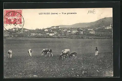 AK Leyrieu, Vue generale, Kühe auf der Weide