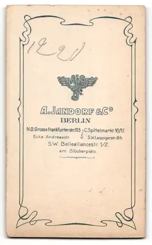 Fotografie A. Jandorf & Co., Berlin, Portrait bürgerlicher Herr mit Bart u. Fliege im Anzug