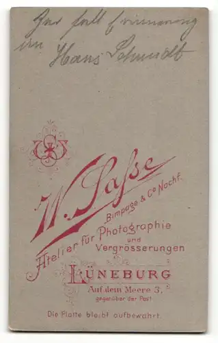 Fotografie W. Safse, Lüneburg, junger Herr mit Stehkragen und Seitenscheitel in Dreiteiler mit Krawatte