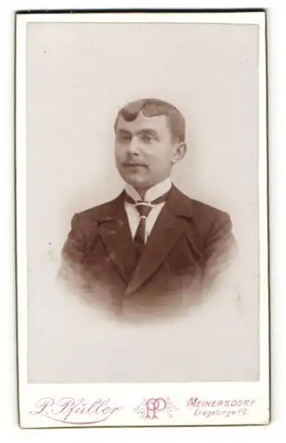 Fotografie P. Pfüller, Meinersdorf, Herr mit gemusterter Krawatte und mit Schnurrbart