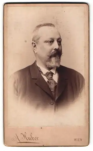 Fotografie A. Huber, Wien, Portrait älterer Herr mit Vollbart und Krawatte im Anzug