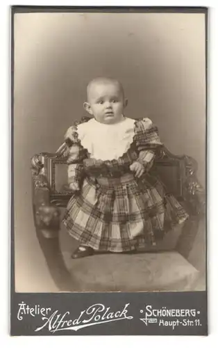 Fotografie Alfred Polack, Berlin, kleines Mädchen in kariertem Kleid